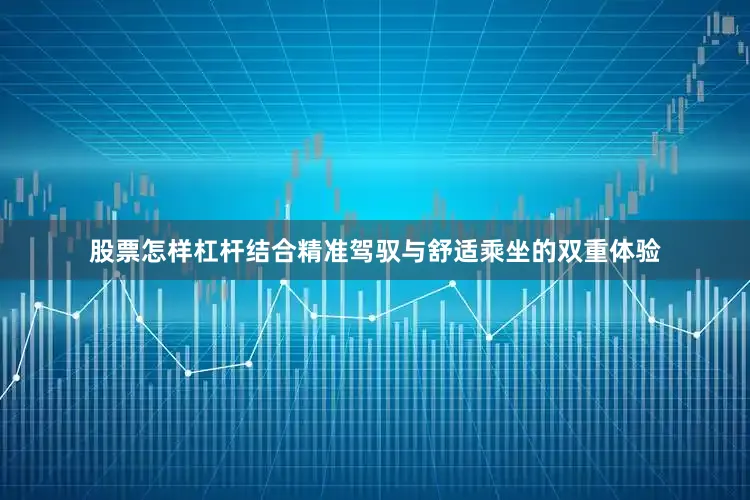 股票怎样杠杆结合精准驾驭与舒适乘坐的双重体验