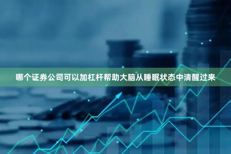 哪个证券公司可以加杠杆帮助大脑从睡眠状态中清醒过来