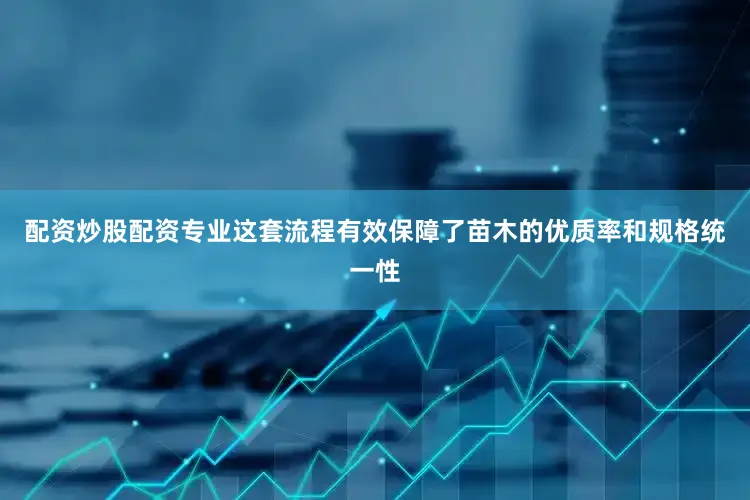 配资炒股配资专业这套流程有效保障了苗木的优质率和规格统一性