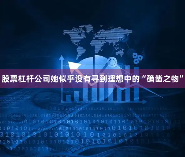 股票杠杆公司她似乎没有寻到理想中的“确凿之物”